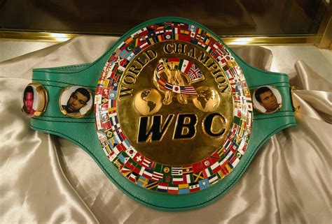 Understanding the Many Different Boxing Belts .